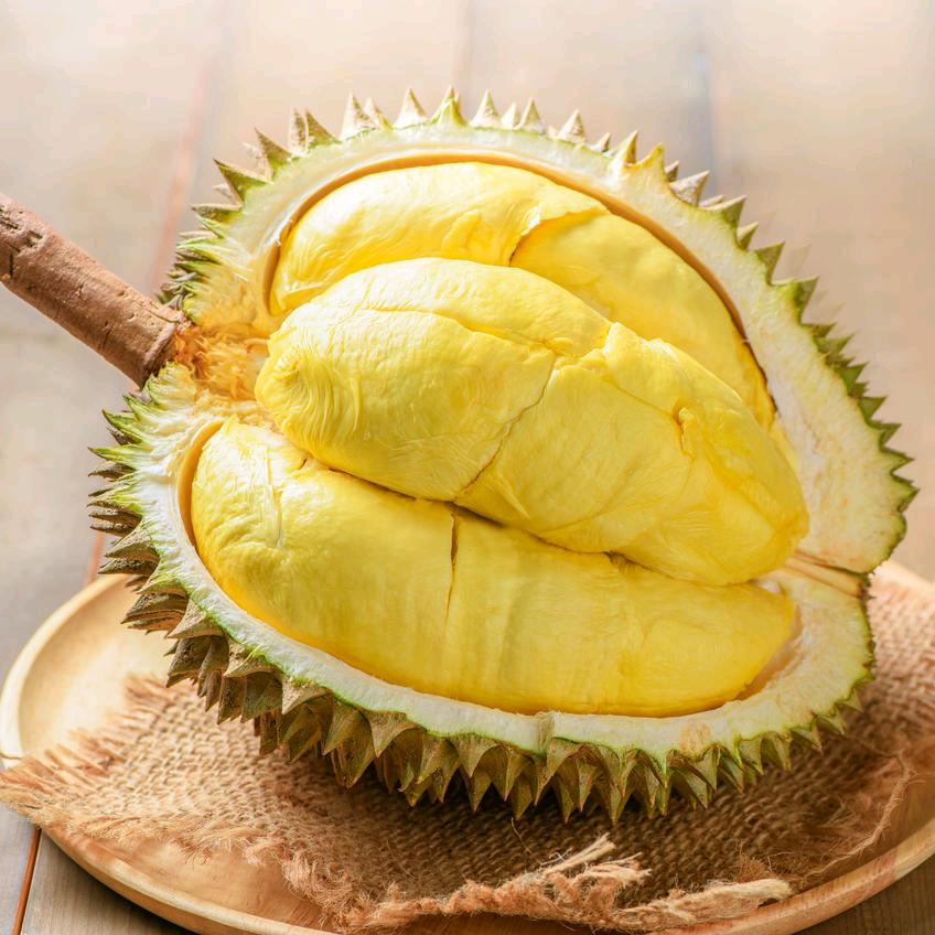 小宝哥供应链