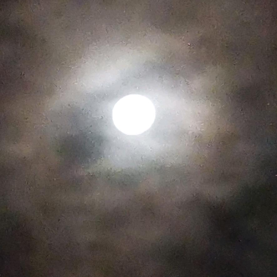 恋爱的核武器有房有车