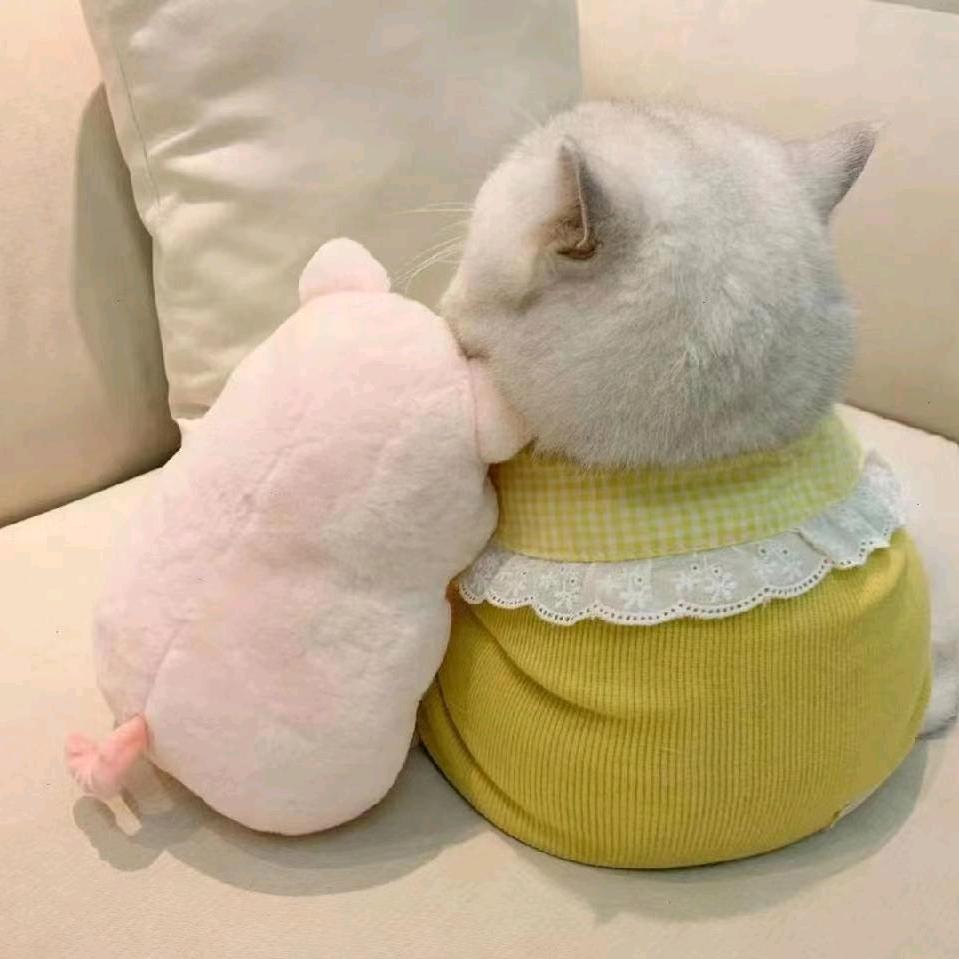 打倒坏女人
