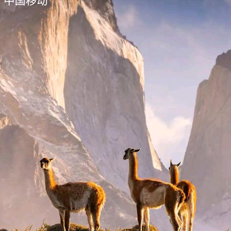 人生是一场游戏