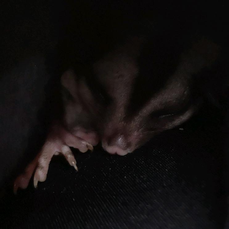 又是快乐的一天