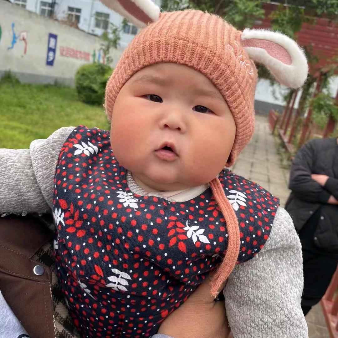 (南)