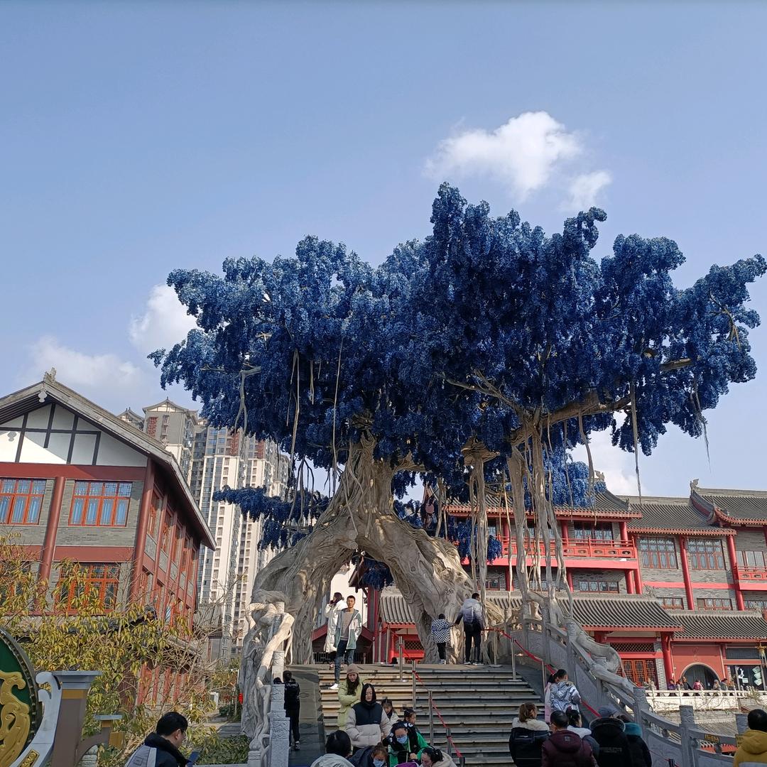 开心一天是一天