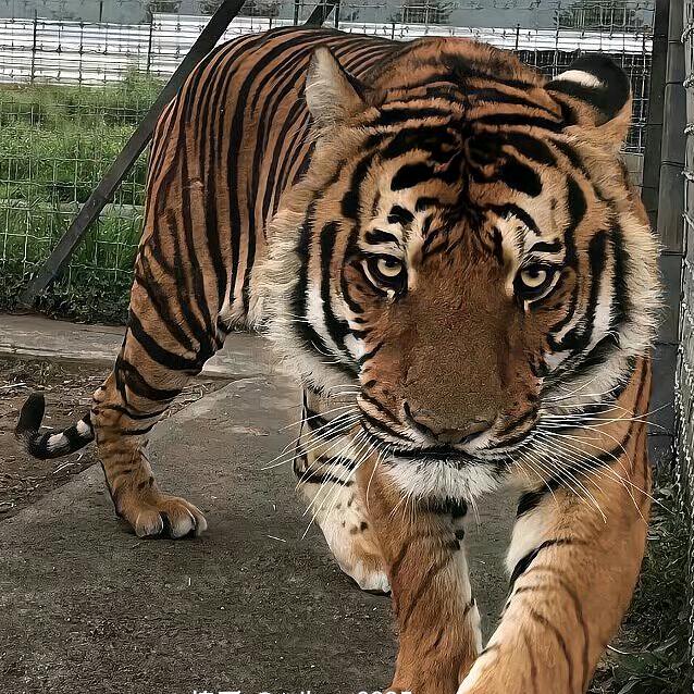 😍·我很厉害·😍