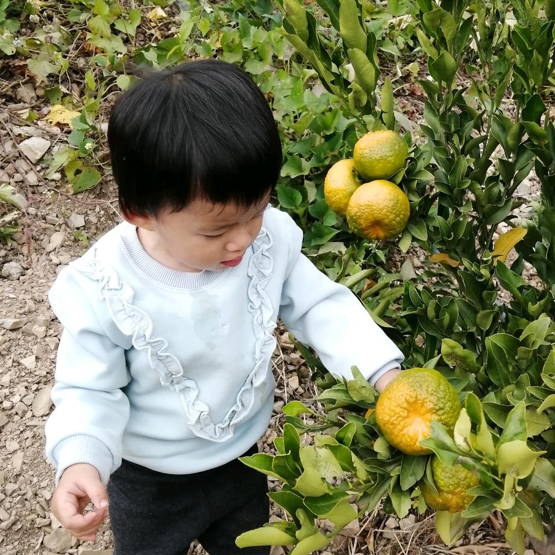 青山绿水🎈🎈🎈🎈