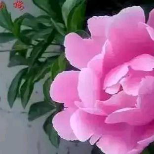 余生，安好