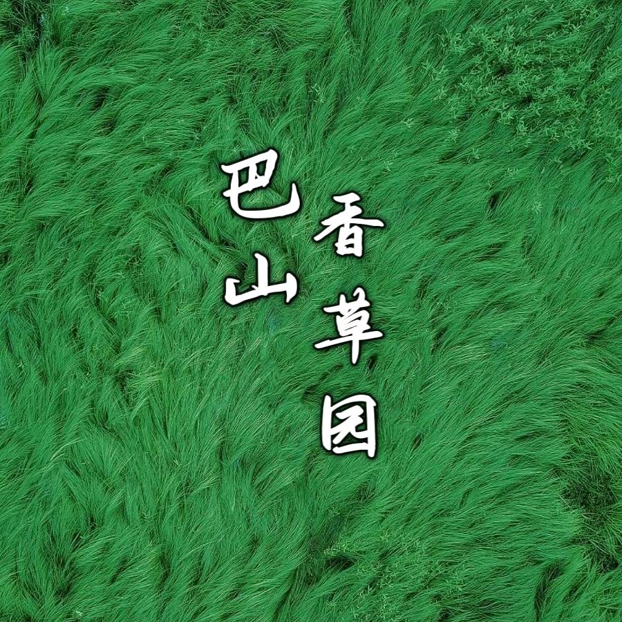 巴山香草园布鞋