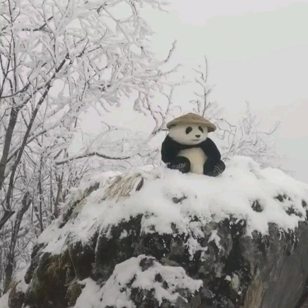 冰雾华境