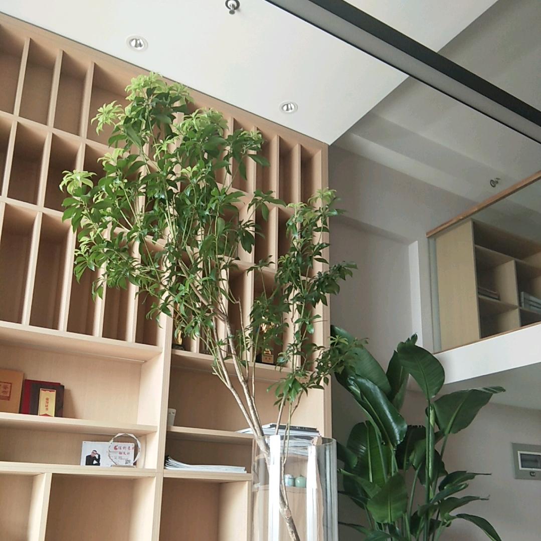 璞慧·空间设计