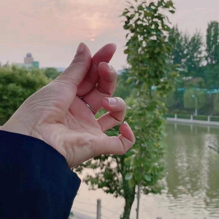秋天枫叶