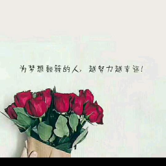 菊(｡･ω･｡)ﾉ♡꒰⊙ω⊙
