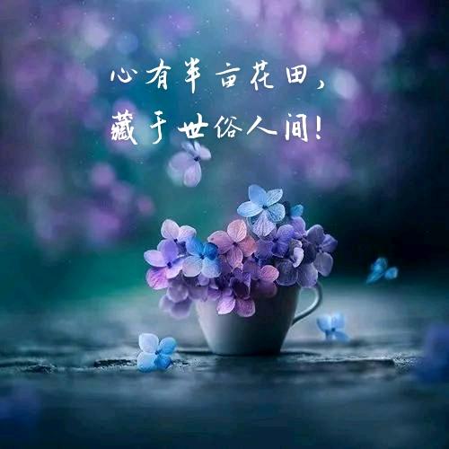 思佟(互关必回)