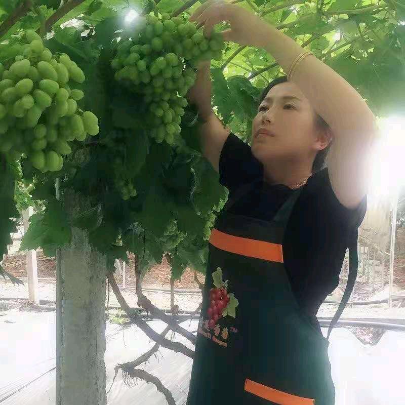 龙贝儿