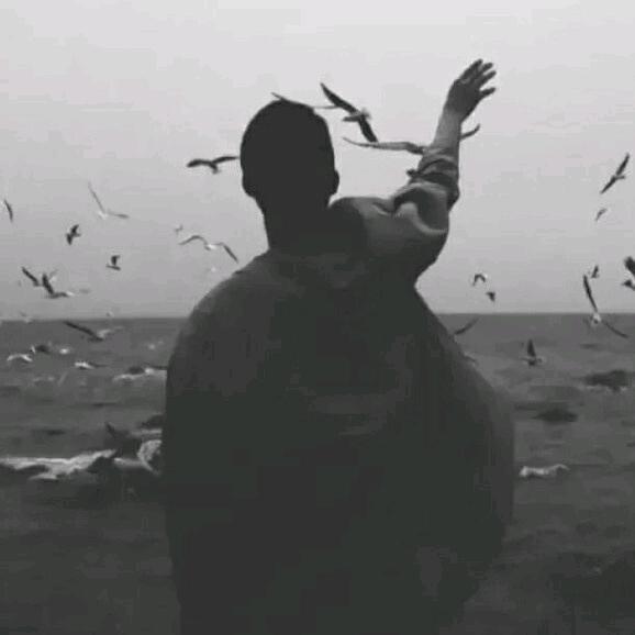 半生沉浮
