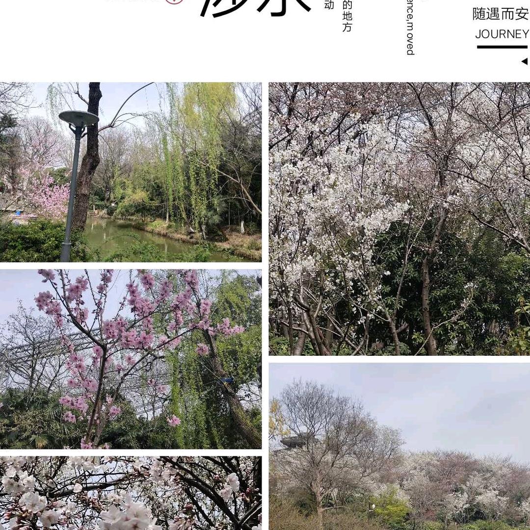 骑着辣条看嫦娥