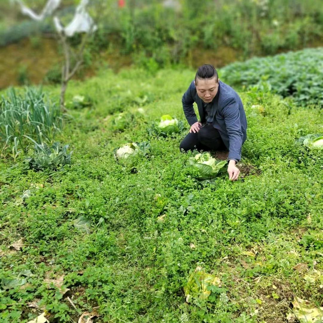 迷茫的未来