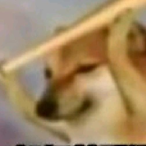佬实人