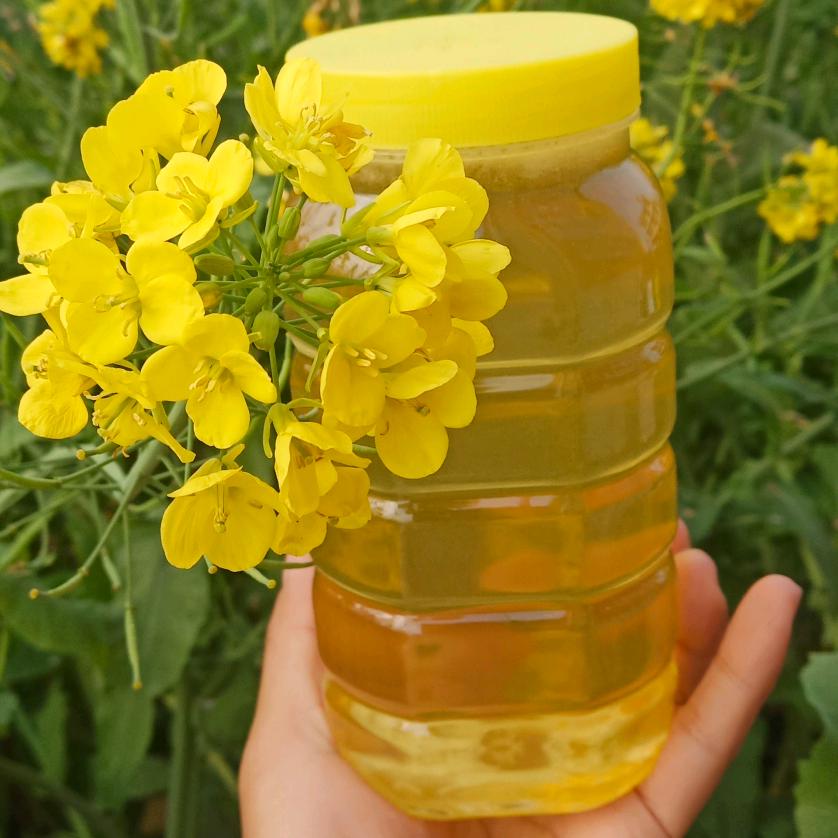 双双 花石农家养蜂