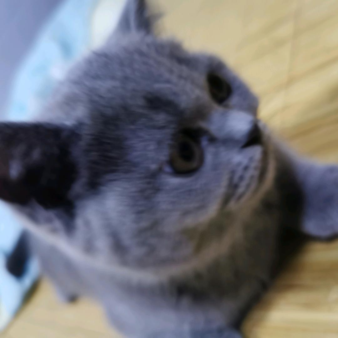 @秋秋