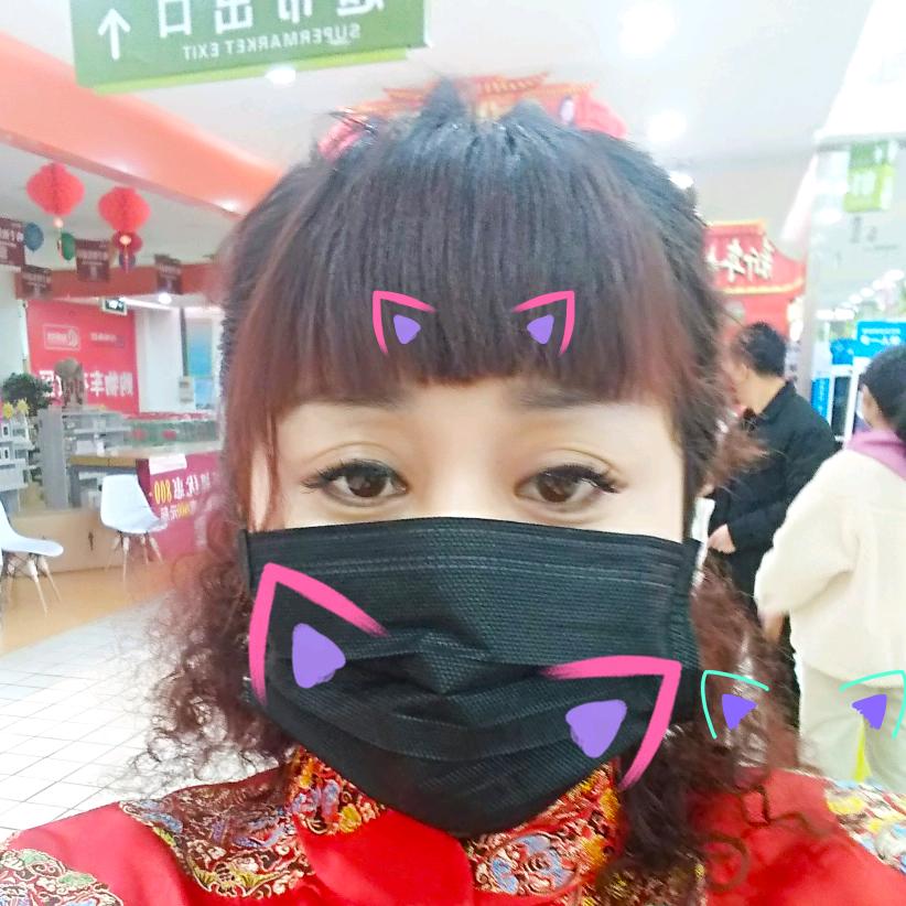 凤