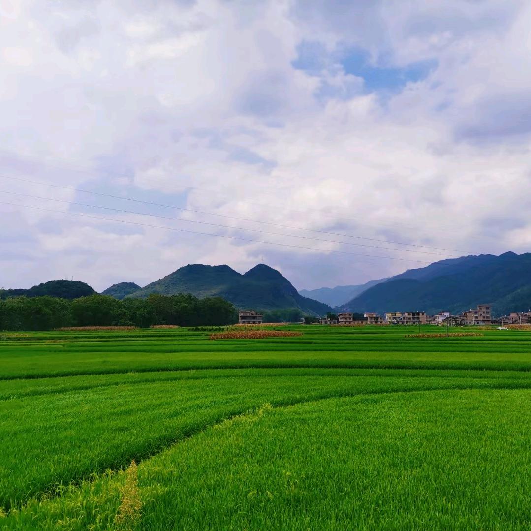 岁月
