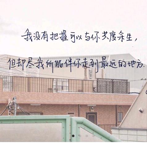 安琪儿
