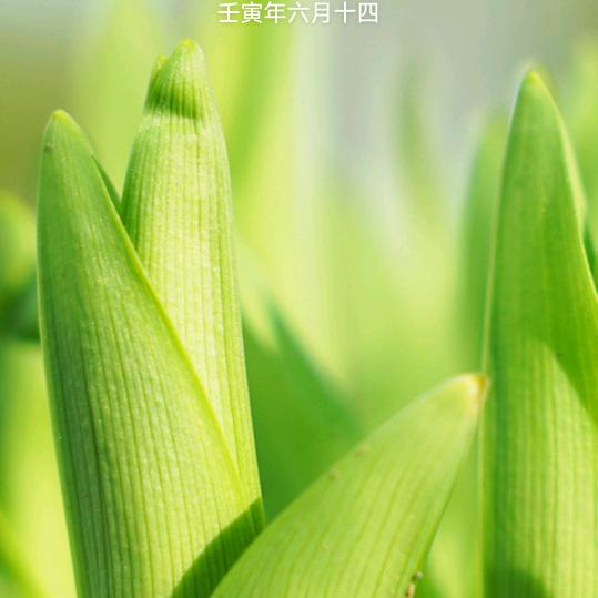 遗忘【关必回】