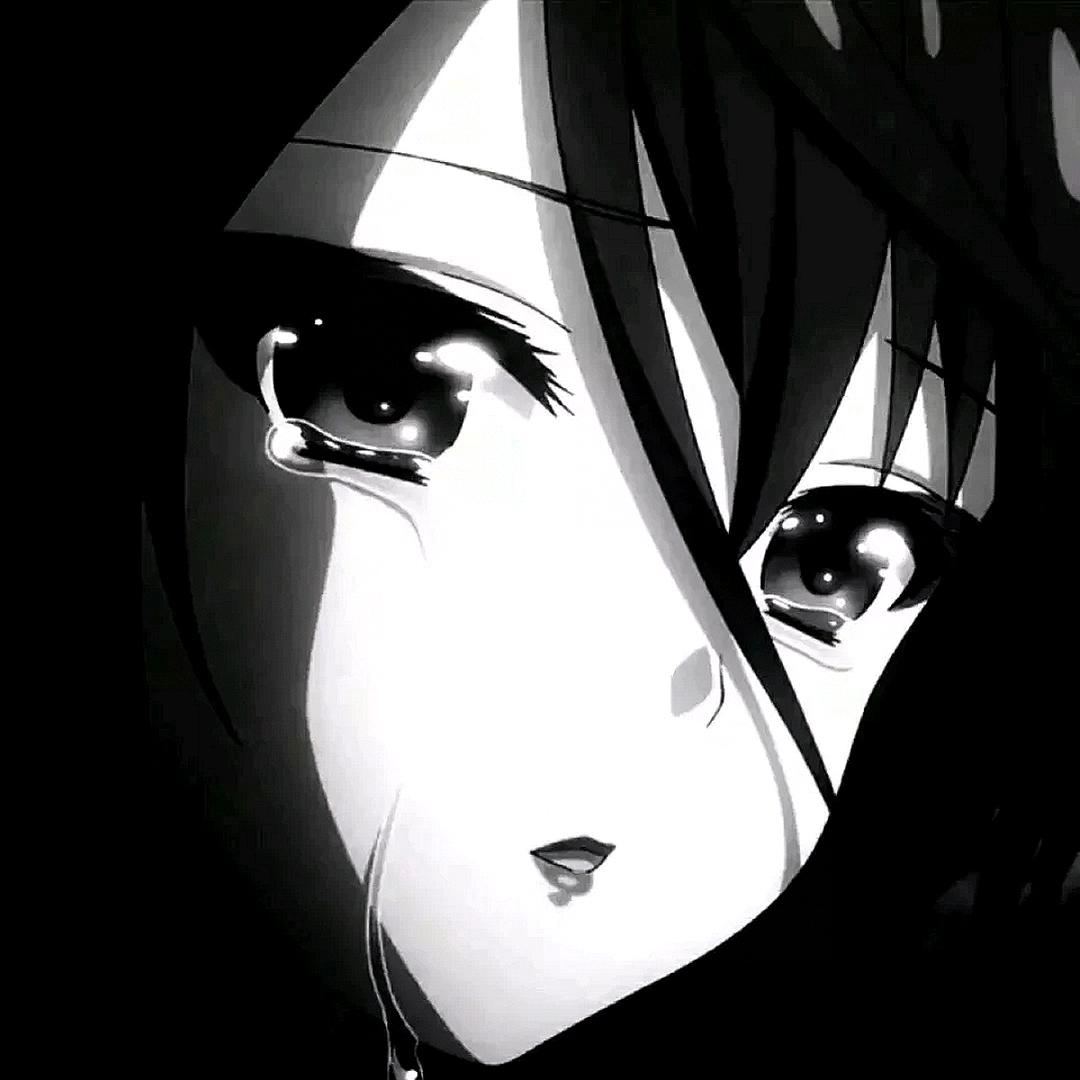 不吃鱼的小鱼儿.