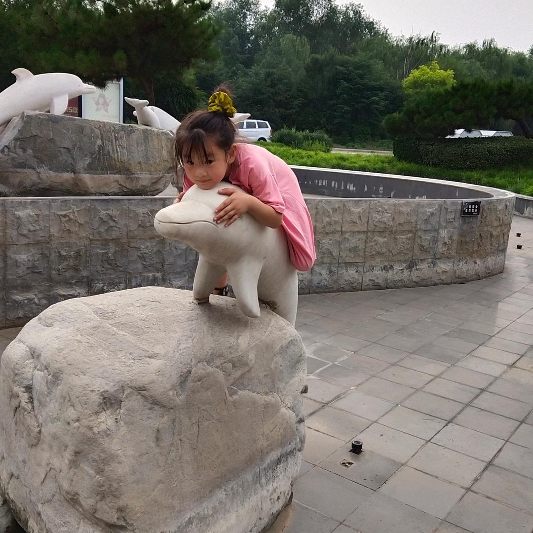 梦想成真