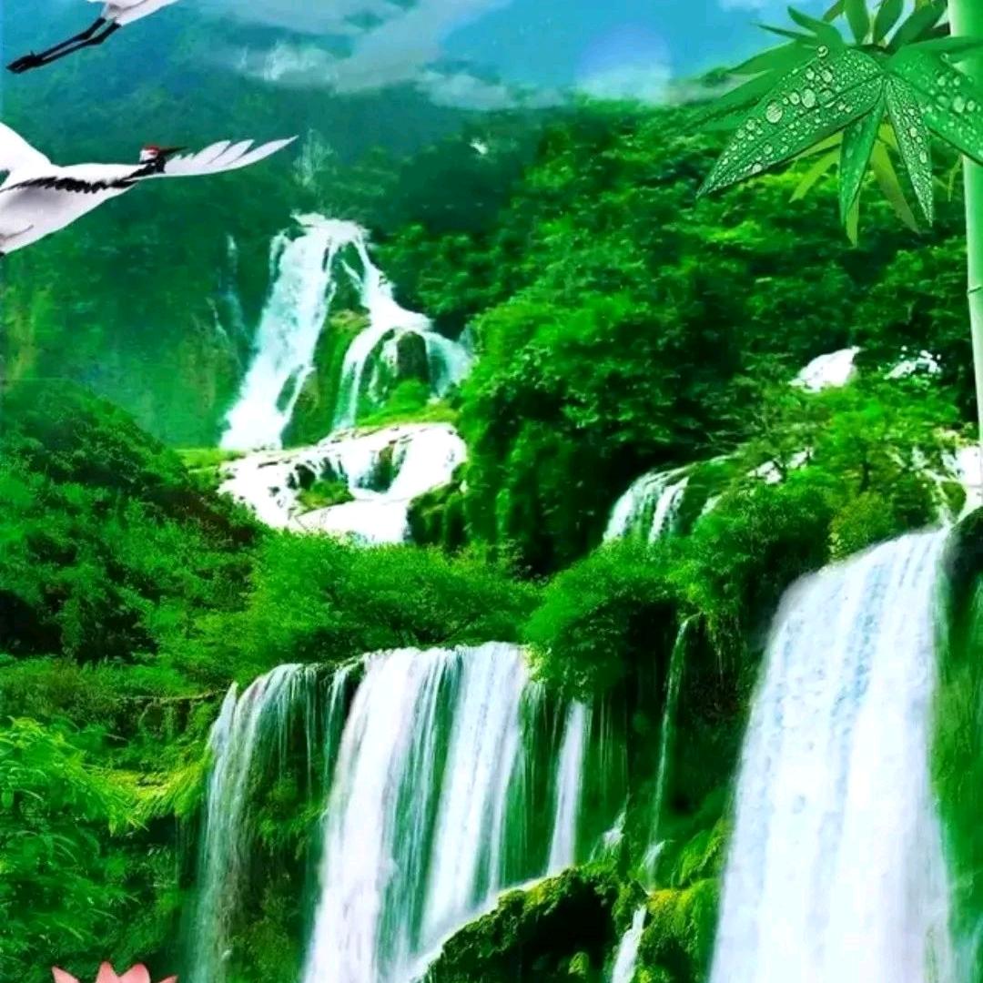吉祥紫微星