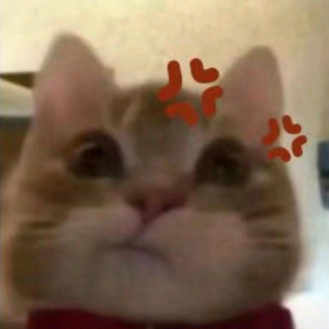 泡一杯暖阳