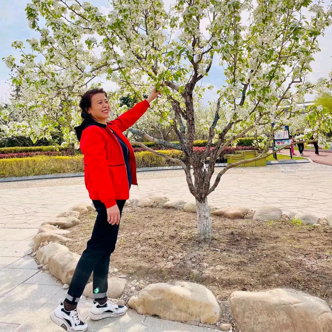 我心依旧