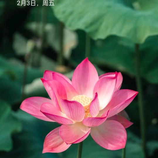 雨过天晴