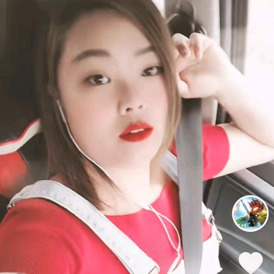 杨树的杨