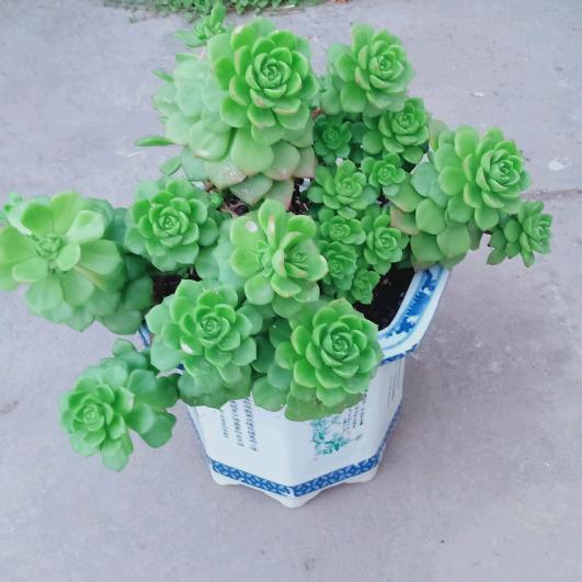 简单幸福