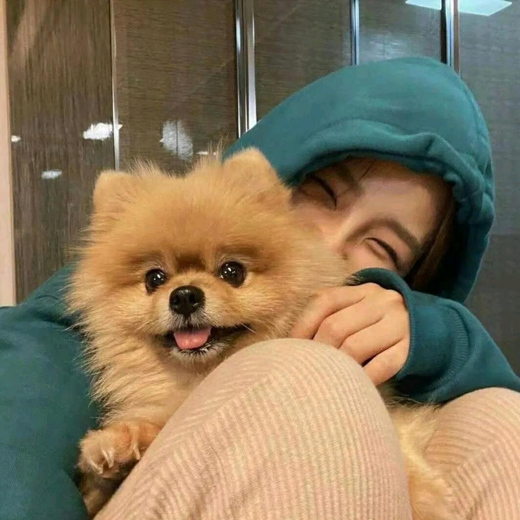有点喜欢💕