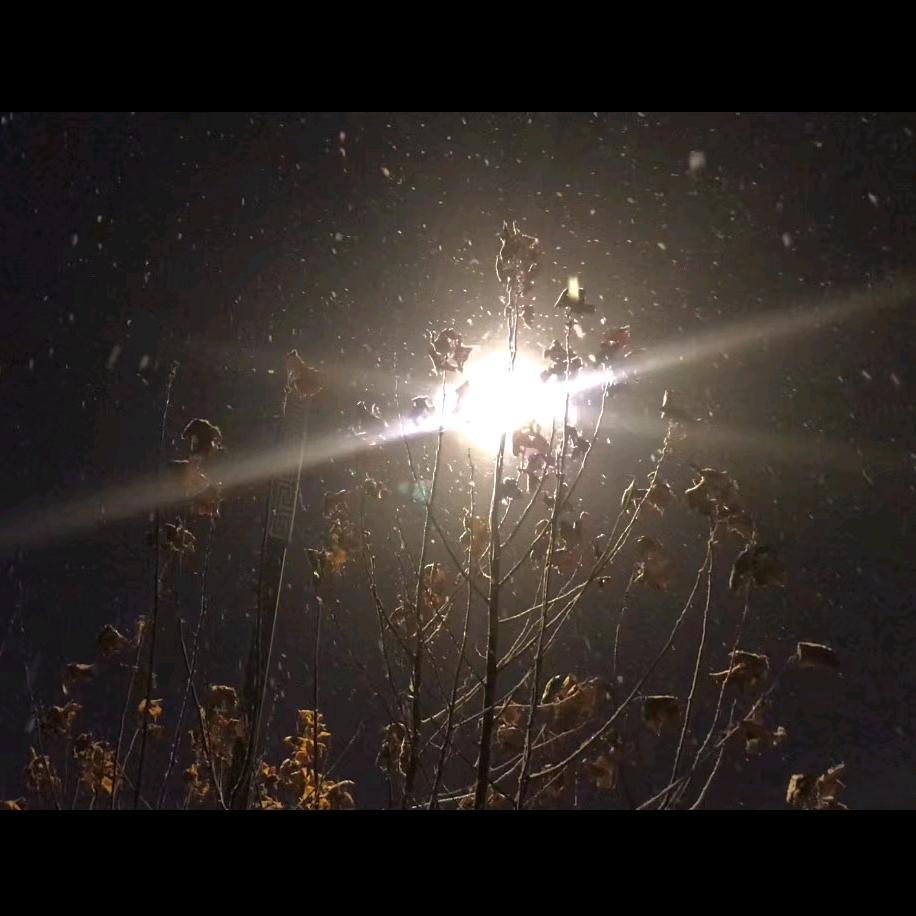 十✨