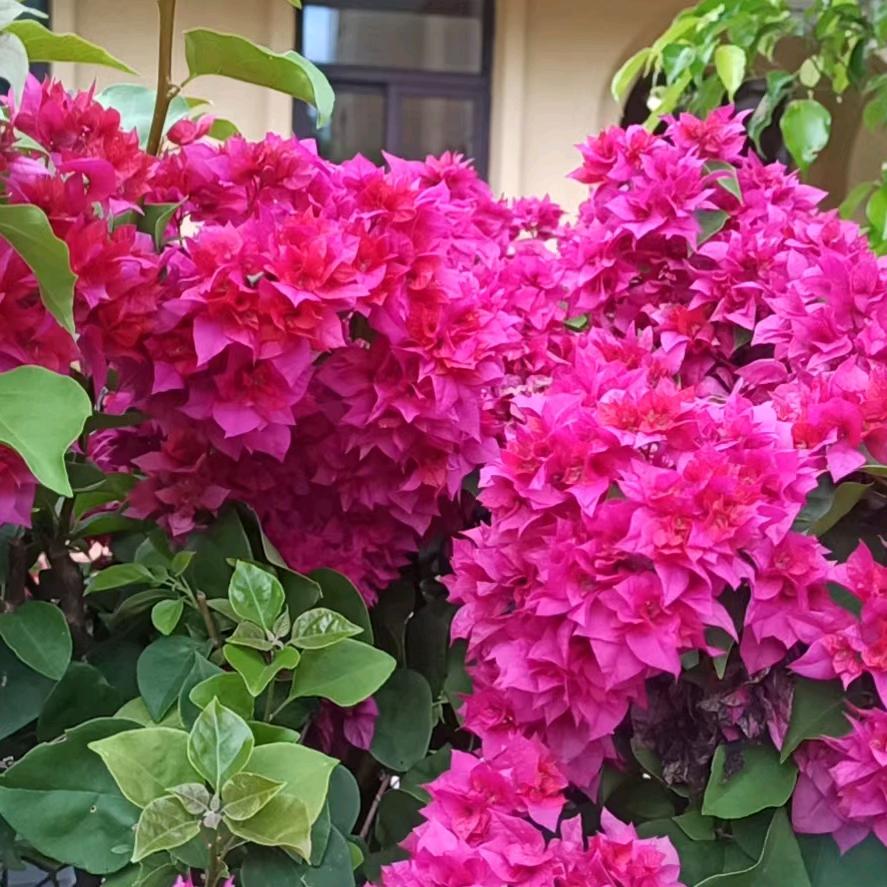 过好每一天！(坚强靠自己！