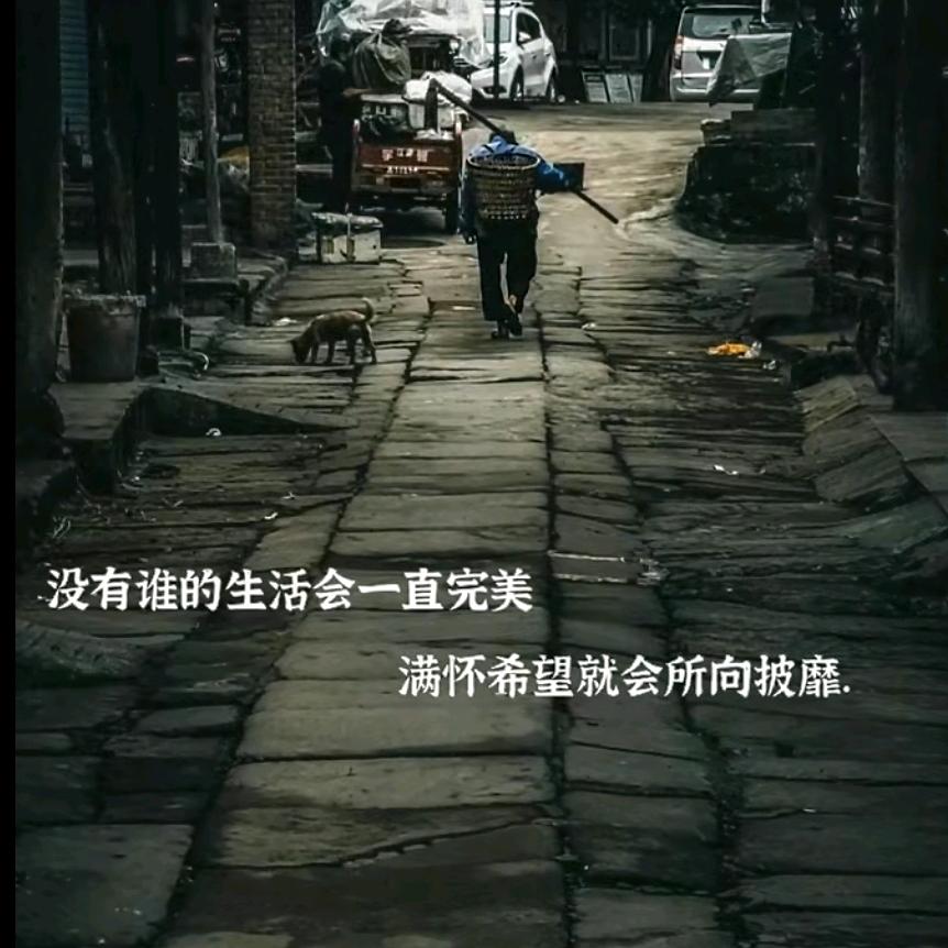 顺顺顺顺