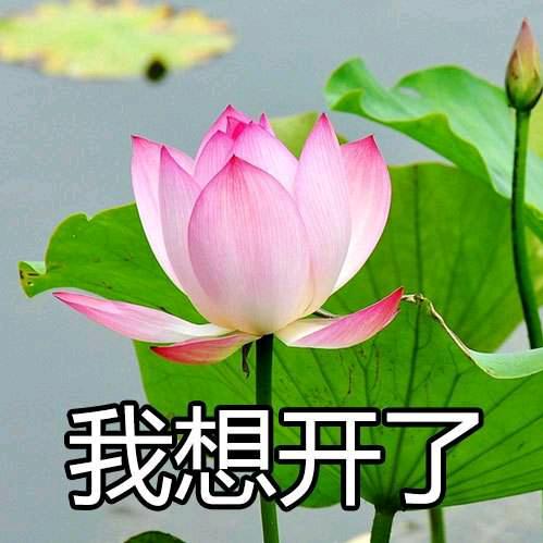 (｡･ω･｡)ﾉ♡小田
