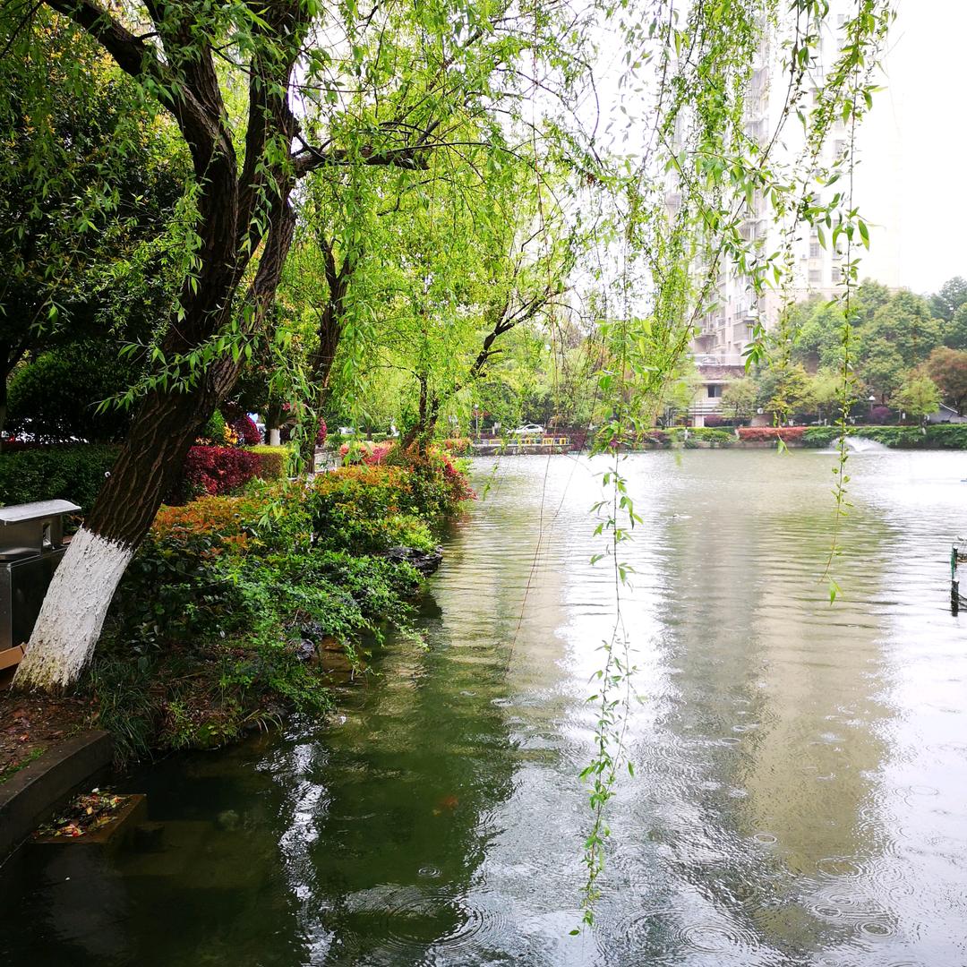 还可以（最美的小区）