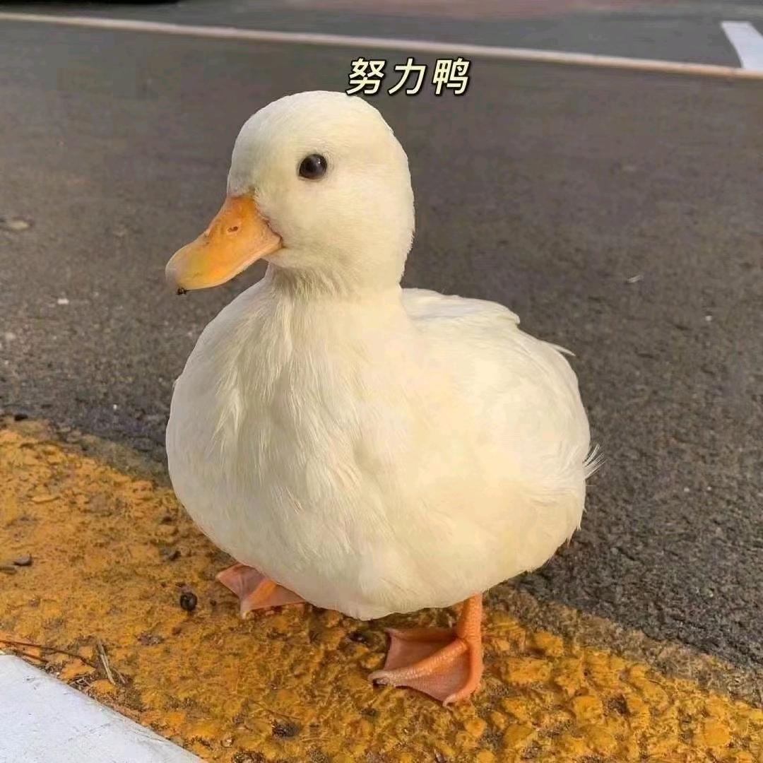 焌希