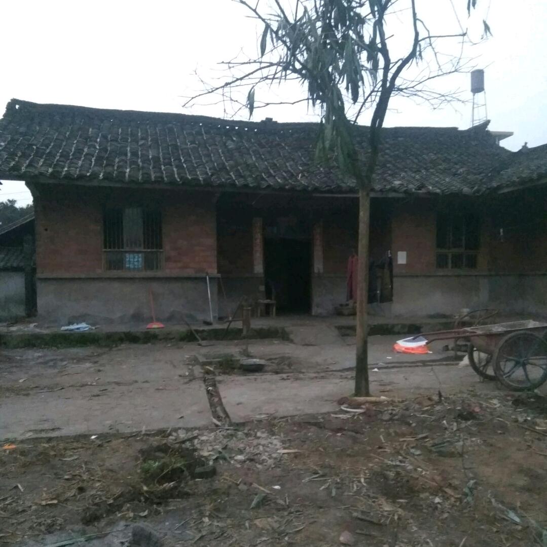 惠玲