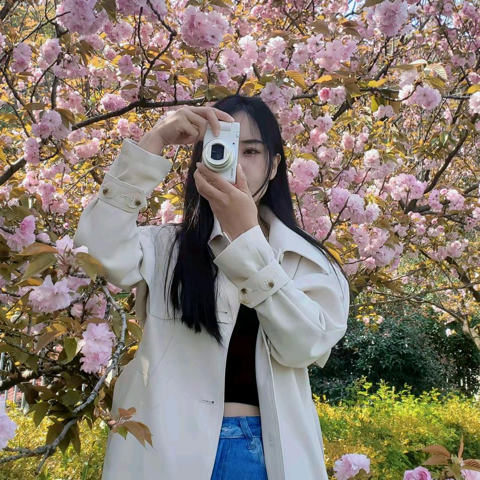 📷里的浪漫