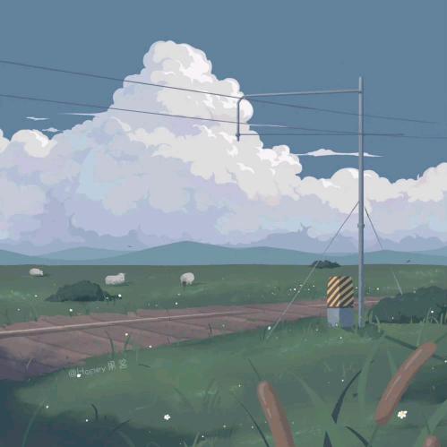 沃德脚气谁莱文