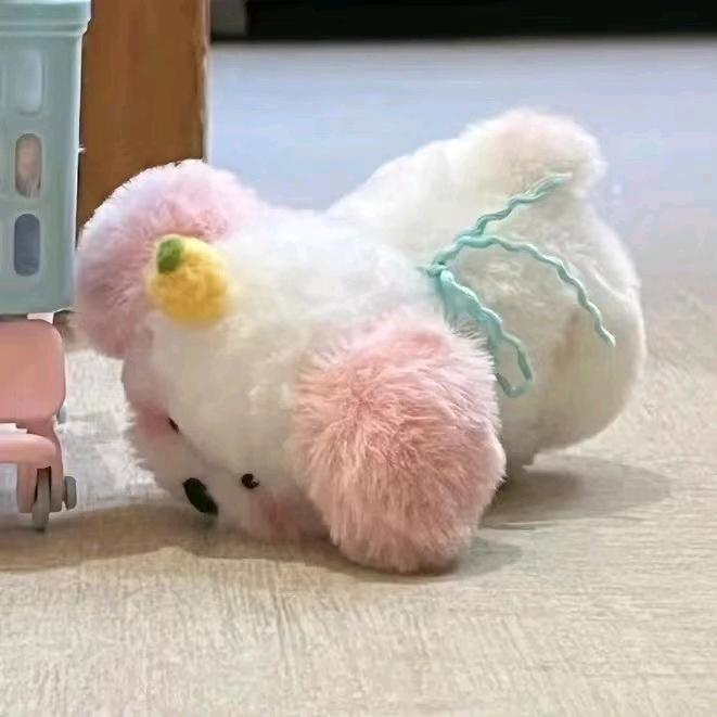 张白白～～