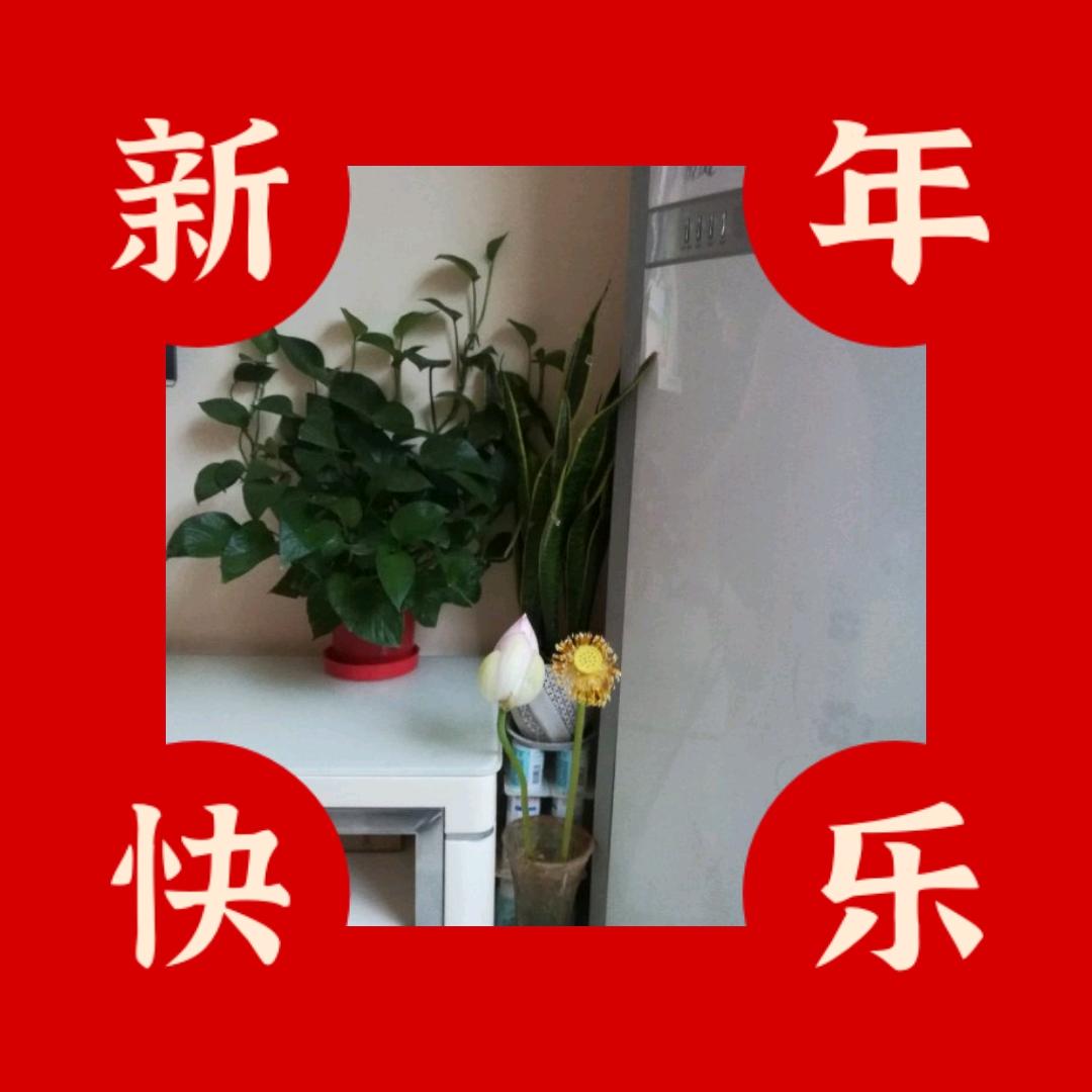 开心😆