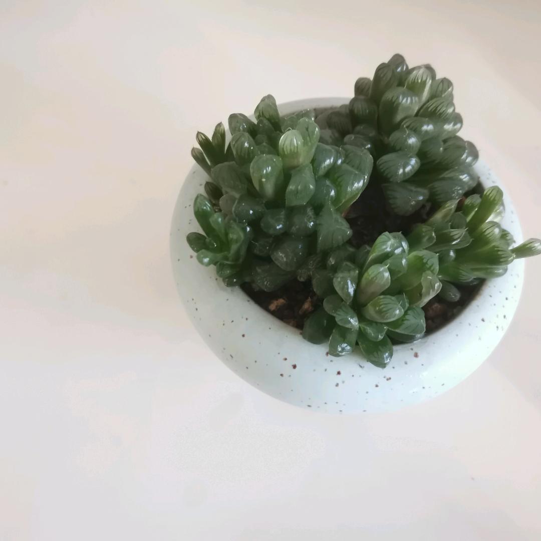 用户2922802993317