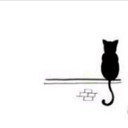 雾飒行人