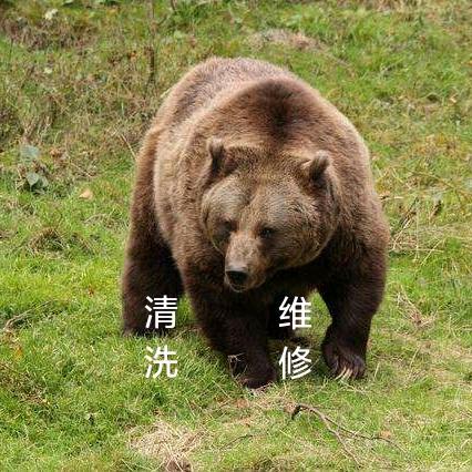 灰熊清洗维修